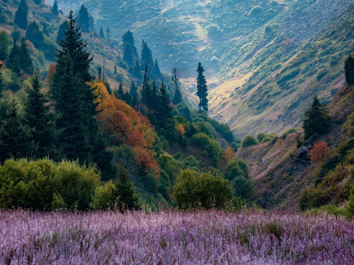 Namaste Shalle 2000M Hotel Алма Ата Екстериор снимка